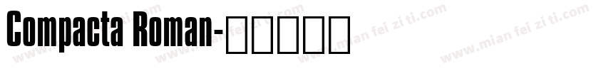 Compacta Roman字体转换
